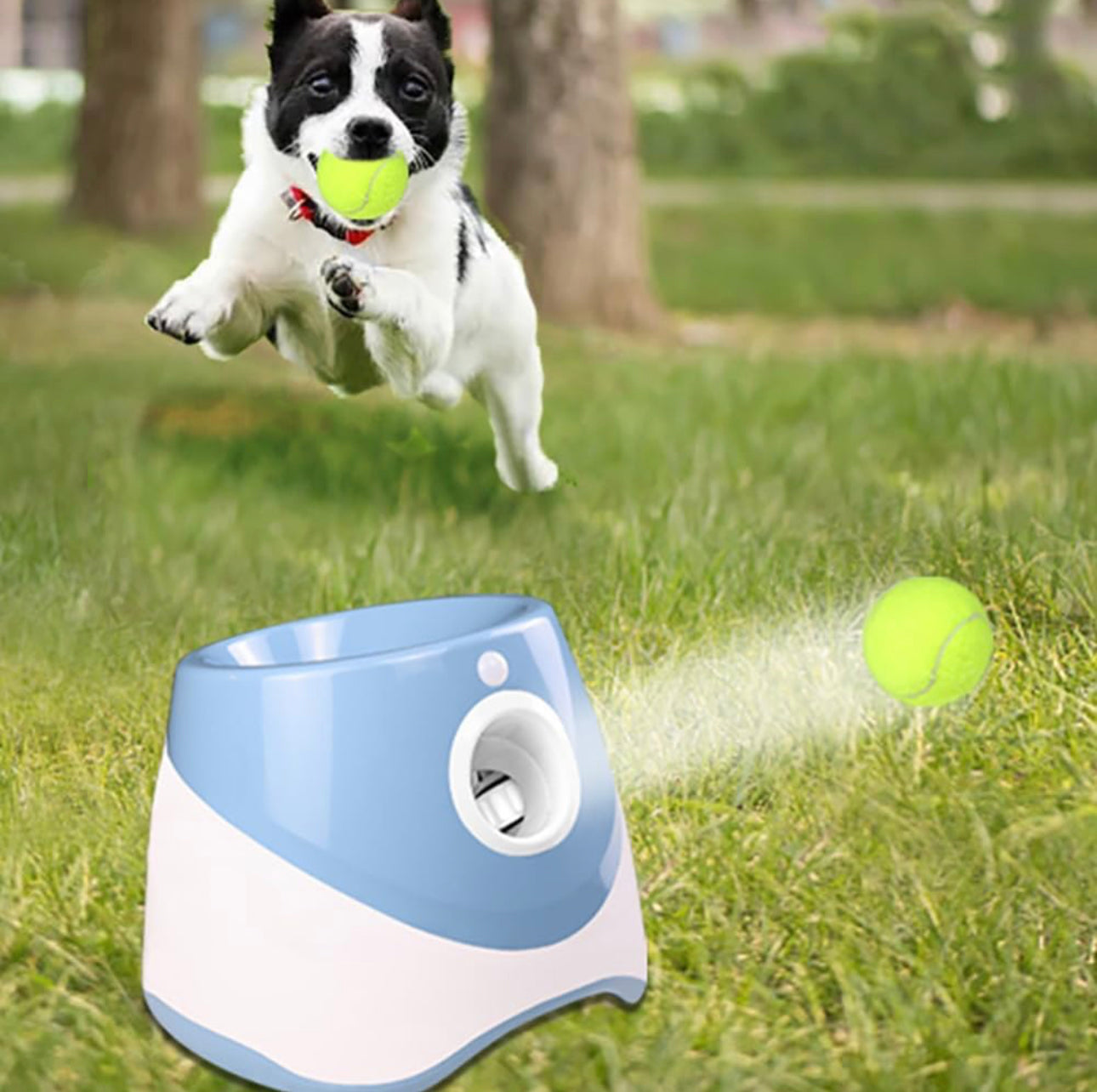 As seen on TikTok! Automatic Ball Launcher for Small and Medium Dogs, USB Rechargeable Ball Thrower,10-30 Ft, Indoor& Outdoor Tennis Ball Thrower, 3PCS Mini Tennis Balls.